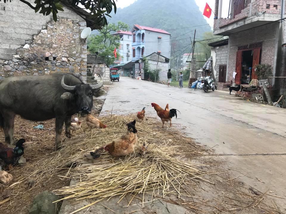 A Sy Ban Gioc Homestay - Lang Da Khuoi Ky กาวบั่ง ภายนอก รูปภาพ